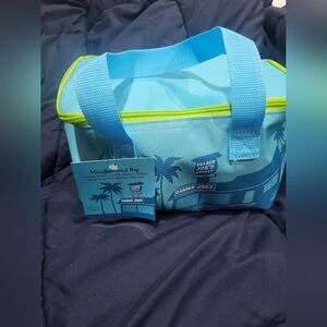 Trader Joe's Blue Insulated Food Storage Bag